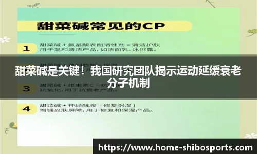 甜菜碱是关键！我国研究团队揭示运动延缓衰老分子机制
